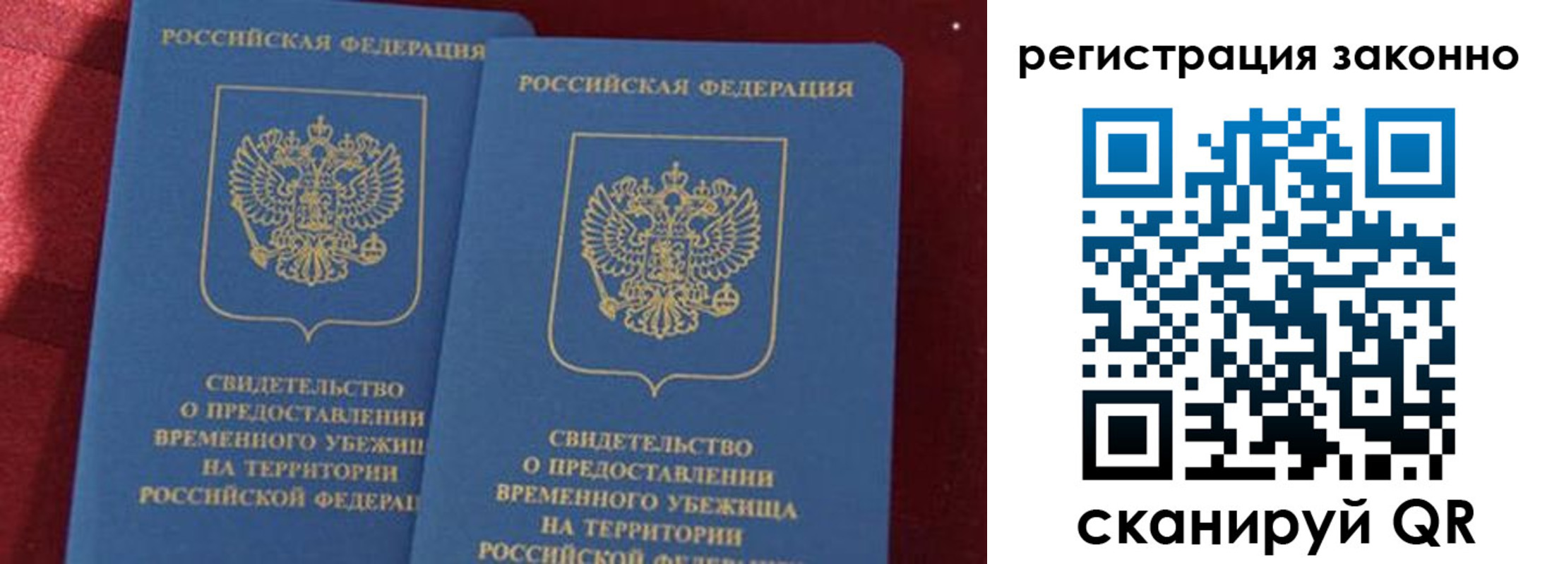 прописка в Курской области
